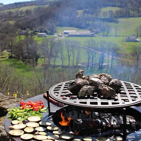 Hébergement de vacances La Maison Du Colonel Sainte-Eulalie (Auvergne)